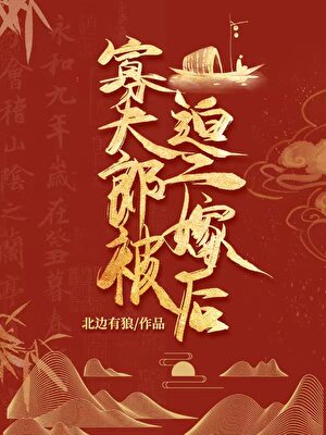 寡夫郎二嫁后