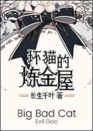 坏猫的炼金屋